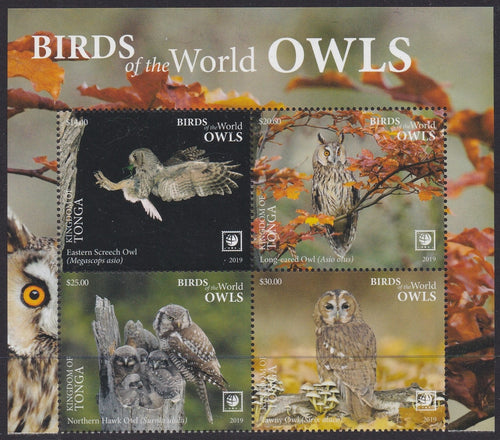 Tonga (2019) Birds of the World, Owls, Large Stamp - BK/4, Top