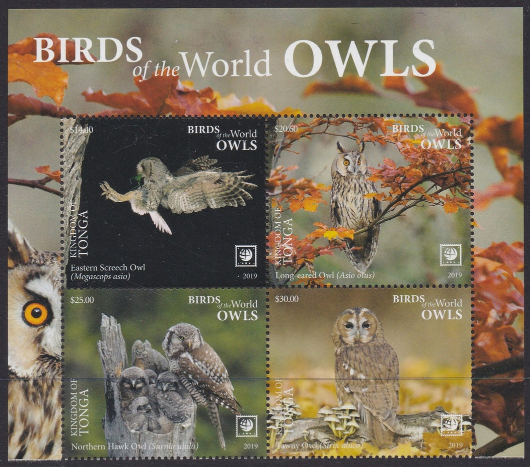 Tonga (2019) Birds of the World, Owls, Large Stamp - BK/4, Top
