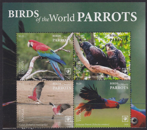 Tonga (2020) Birds of the World, Parrots, Large Stamp - BK/4, Top