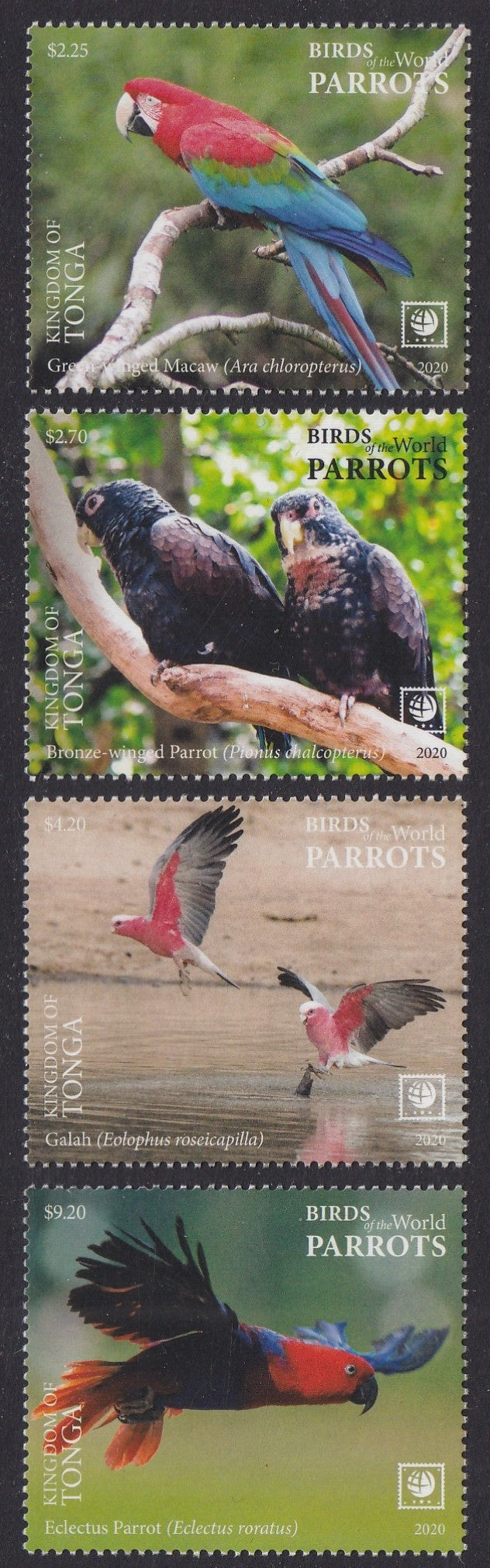 Tonga (2020) Birds of the World, Parrots, Large Stamp - Sgls, Set/4