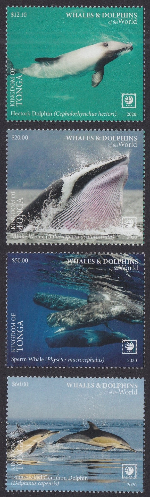 Tonga (2020) Whales & Dolphins of the World, Part II, Large Stamp - Sgls, Set/4