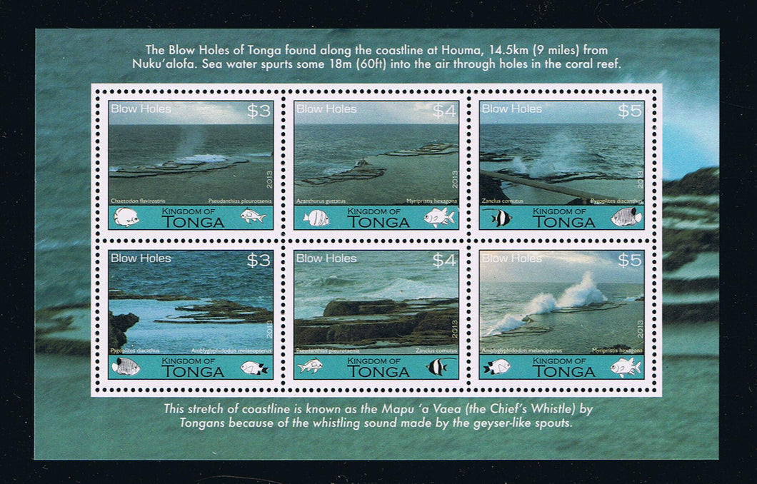 Tonga # 1202 (2013) Coastal Blow Holes Souvenir Sheet