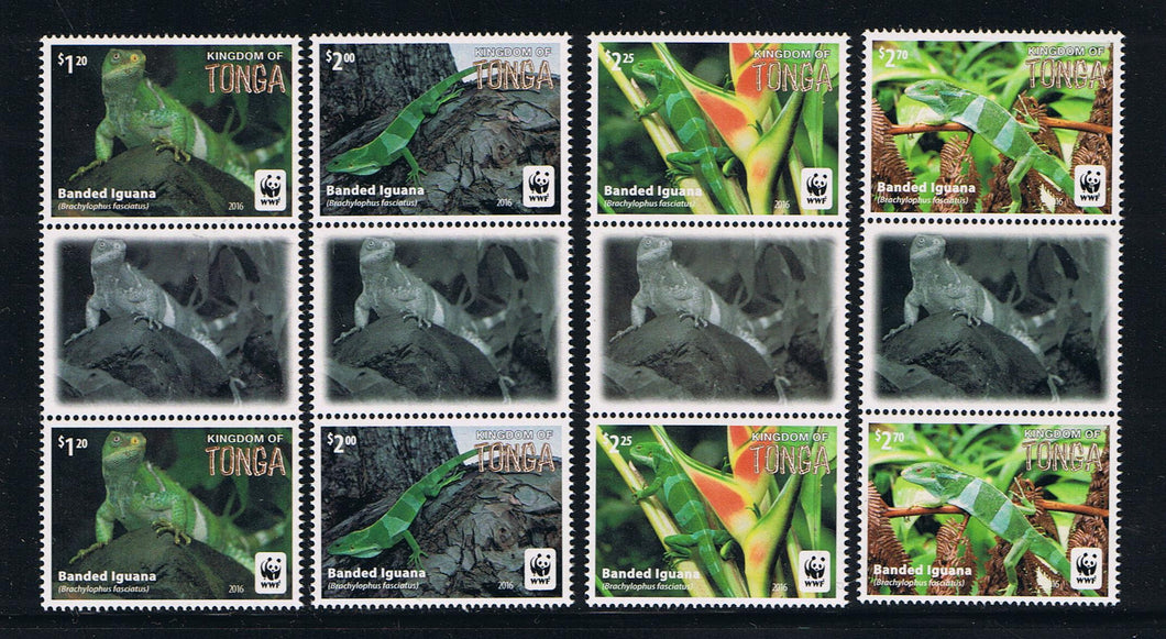 2016 - WWF Banded Iguana Complete Image Gutter Pairs