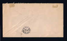 # U395 - Tenn. State Official Cover - Illegal Usage